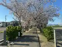 王子和多津美神社の{uncategorized: "未分類", other: "その他", undefined: "問題あり", building: "その他建物", grave: "お墓", sacred_gate: "鳥居", guardian: "狛犬", statue: "像", buddha: "仏像", history: "歴史", nature: "自然", garden: "庭園", animal: "動物", pagoda: "塔", temizu: "手水舎", mountain_gate: "山門・神門", sanctuary: "本殿・本堂", subordinate: "末社・摂社", art: "芸術", scenery: "景色", jizo: "地蔵", ema: "絵馬", goshuin: "御朱印", omikuji: "おみくじ", items: "授与品その他", amulet: "お守り", goshuincho: "御朱印帳", eats: "食事", festival: "お祭り", votive_dance: "神楽", shichigosan: "七五三参", wedding: "結婚式", experience: "体験その他", initially: "初詣", around: "周辺", anti_infection: "感染症対策"}