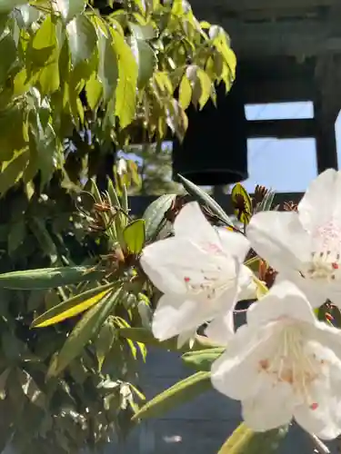 横蔵寺(兵庫県)