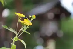 開成山大神宮の自然