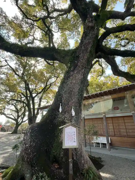 北岡神社の{uncategorized: "未分類", other: "その他", undefined: "問題あり", building: "その他建物", grave: "お墓", sacred_gate: "鳥居", guardian: "狛犬", statue: "像", buddha: "仏像", history: "歴史", nature: "自然", garden: "庭園", animal: "動物", pagoda: "塔", temizu: "手水舎", mountain_gate: "山門・神門", sanctuary: "本殿・本堂", subordinate: "末社・摂社", art: "芸術", scenery: "景色", jizo: "地蔵", ema: "絵馬", goshuin: "御朱印", omikuji: "おみくじ", items: "授与品その他", amulet: "お守り", goshuincho: "御朱印帳", eats: "食事", festival: "お祭り", votive_dance: "神楽", shichigosan: "七五三参", wedding: "結婚式", experience: "体験その他", initially: "初詣", around: "周辺", anti_infection: "感染症対策"}