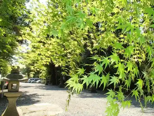 多賀大社のその他建物