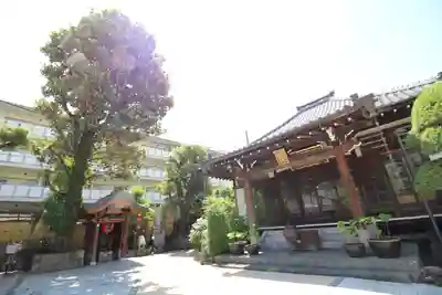 安樂寺（安楽寺）(東京都)