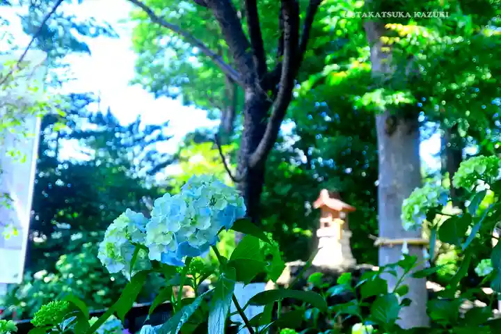 川越八幡宮(埼玉県)