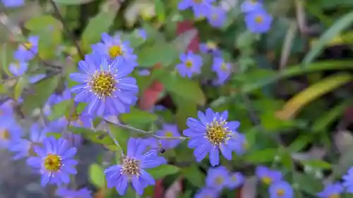 勧修寺(京都府)