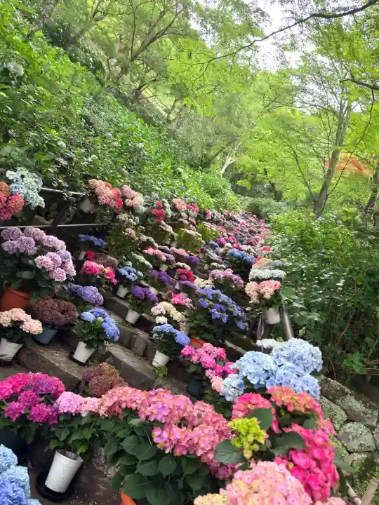 長谷寺(奈良県)