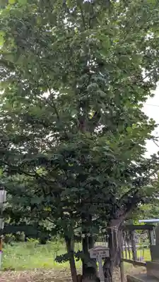 壮瞥神社(北海道)