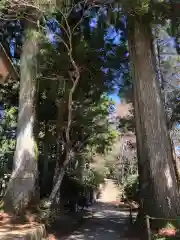 西照神社(徳島県)