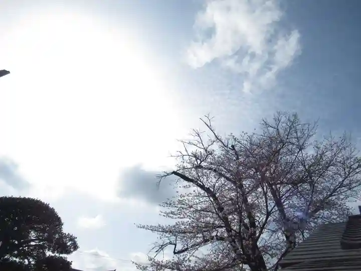 真光寺(千葉県)