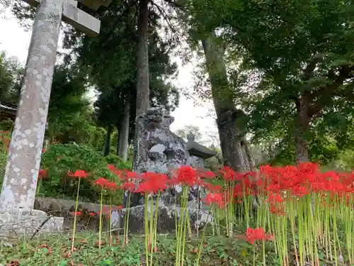 八幡神社の狛犬