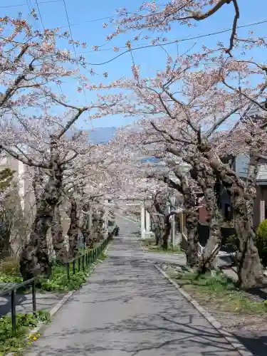 住三吉神社の{uncategorized: "未分類", other: "その他", undefined: "問題あり", building: "その他建物", grave: "お墓", sacred_gate: "鳥居", guardian: "狛犬", statue: "像", buddha: "仏像", history: "歴史", nature: "自然", garden: "庭園", animal: "動物", pagoda: "塔", temizu: "手水舎", mountain_gate: "山門・神門", sanctuary: "本殿・本堂", subordinate: "末社・摂社", art: "芸術", scenery: "景色", jizo: "地蔵", ema: "絵馬", goshuin: "御朱印", omikuji: "おみくじ", items: "授与品その他", amulet: "お守り", goshuincho: "御朱印帳", eats: "食事", festival: "お祭り", votive_dance: "神楽", shichigosan: "七五三参", wedding: "結婚式", experience: "体験その他", initially: "初詣", around: "周辺", anti_infection: "感染症対策"}