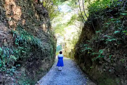 目の霊山　油山寺の自然