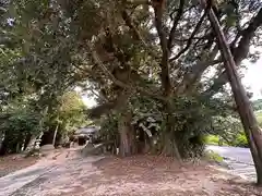 生野神社(京都府)