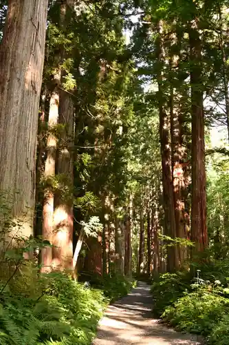 戸隠神社奥社(長野県)