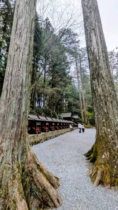 三峯神社の{uncategorized: "未分類", other: "その他", undefined: "問題あり", building: "その他建物", grave: "お墓", sacred_gate: "鳥居", guardian: "狛犬", statue: "像", buddha: "仏像", history: "歴史", nature: "自然", garden: "庭園", animal: "動物", pagoda: "塔", temizu: "手水舎", mountain_gate: "山門・神門", sanctuary: "本殿・本堂", subordinate: "末社・摂社", art: "芸術", scenery: "景色", jizo: "地蔵", ema: "絵馬", goshuin: "御朱印", omikuji: "おみくじ", items: "授与品その他", amulet: "お守り", goshuincho: "御朱印帳", eats: "食事", festival: "お祭り", votive_dance: "神楽", shichigosan: "七五三参", wedding: "結婚式", experience: "体験その他", initially: "初詣", around: "周辺", anti_infection: "感染症対策"}