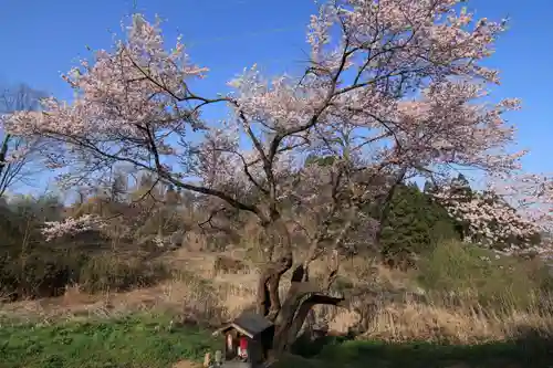 宇賀神さまの景色