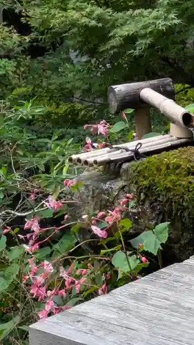 宝泉院(京都府)