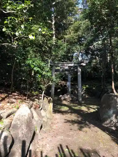 木嶋坐天照御魂神社の鳥居