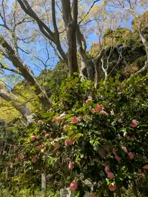 函館八幡宮の{uncategorized: "未分類", other: "その他", undefined: "問題あり", building: "その他建物", grave: "お墓", sacred_gate: "鳥居", guardian: "狛犬", statue: "像", buddha: "仏像", history: "歴史", nature: "自然", garden: "庭園", animal: "動物", pagoda: "塔", temizu: "手水舎", mountain_gate: "山門・神門", sanctuary: "本殿・本堂", subordinate: "末社・摂社", art: "芸術", scenery: "景色", jizo: "地蔵", ema: "絵馬", goshuin: "御朱印", omikuji: "おみくじ", items: "授与品その他", amulet: "お守り", goshuincho: "御朱印帳", eats: "食事", festival: "お祭り", votive_dance: "神楽", shichigosan: "七五三参", wedding: "結婚式", experience: "体験その他", initially: "初詣", around: "周辺", anti_infection: "感染症対策"}