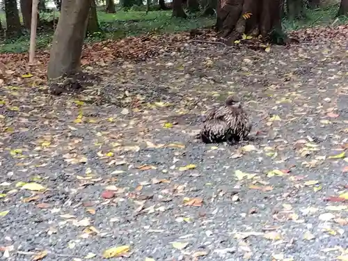 湯次神社(滋賀県)