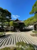 慈照寺(慈照禅寺・銀閣寺)(京都府)