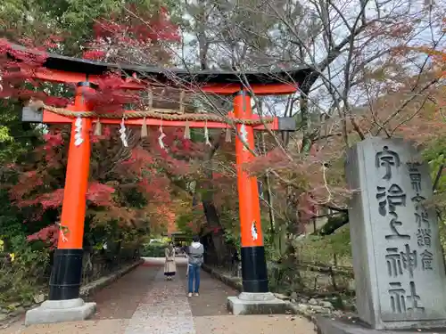 宇治上神社の鳥居