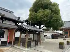 壬生寺(京都府)