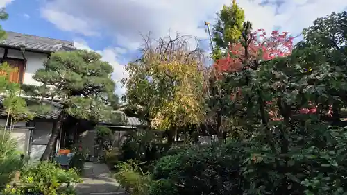 祐正寺(京都府)