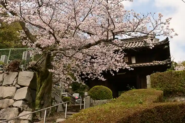 海禅寺(愛媛県)