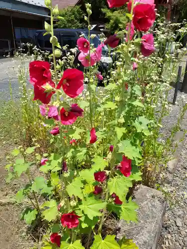 愛宕神社(岩手県)