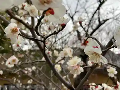 半城土天満神社(愛知県)