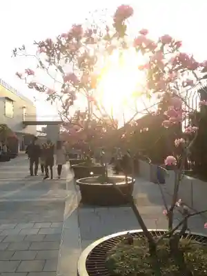 浅草寺のその他建物