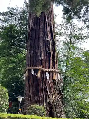 香取神宮(千葉県)