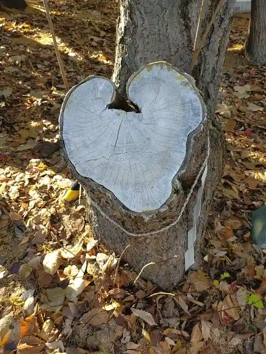 大谷地神社の自然