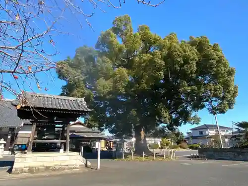 大聖院（倶利伽羅寺）のその他建物