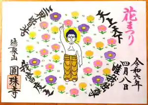 圓珠寺の御朱印 2024年04月08日(月)〜(2024年04月08日(月) 23時23分37秒投稿)