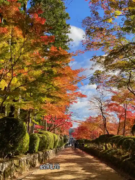 高野山金剛峯寺(和歌山県)