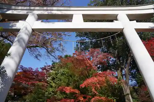 二本松神社の鳥居