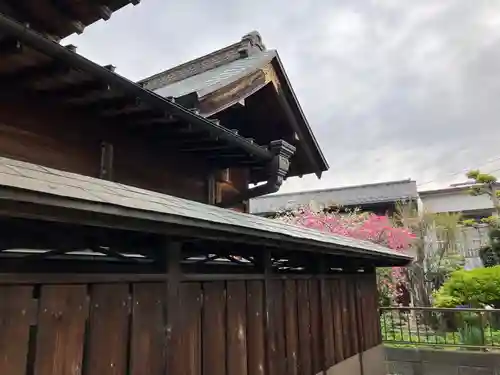 愛宕神社(埼玉県)