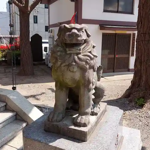 高野胡録神社の狛犬