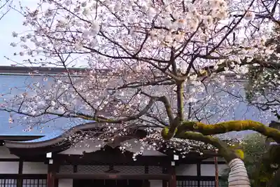 靖國神社(東京都)