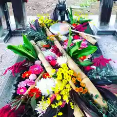 札幌護國神社の手水