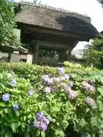 極楽寺(霊鷲山感應院極楽律寺)の山門・神門