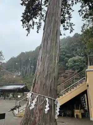 高麗神社(埼玉県)