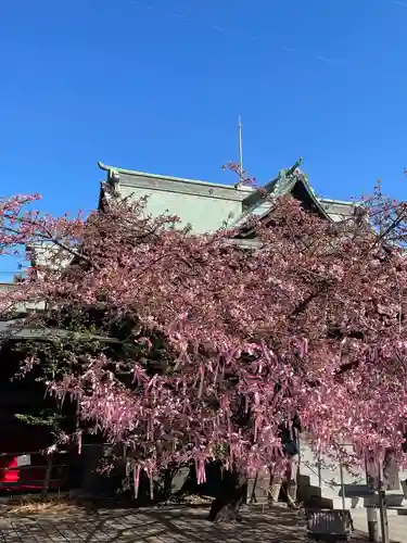 桜神宮(東京都)
