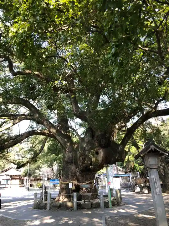 大麻比古神社の自然