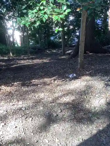 五社稲荷社の自然