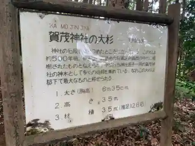 賀茂神社(千葉県)