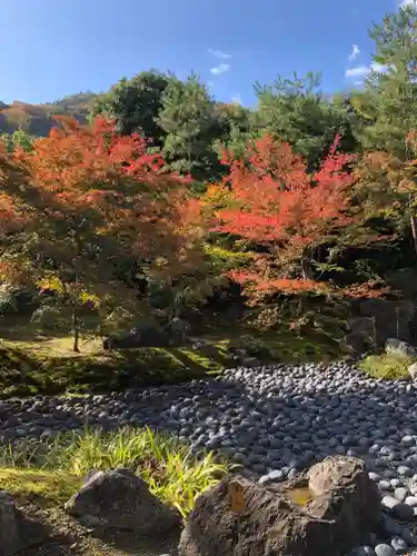 宝厳院の庭園