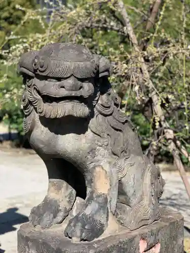 胡録神社の狛犬