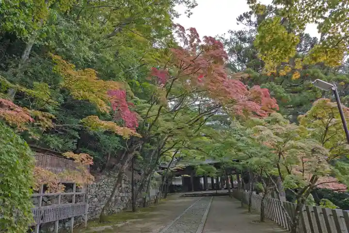 永源寺(滋賀県)